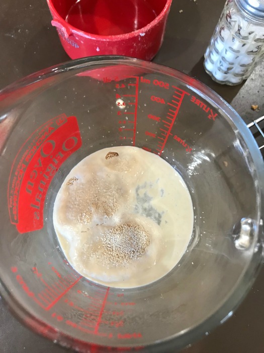 Yeast rising in measuring cup