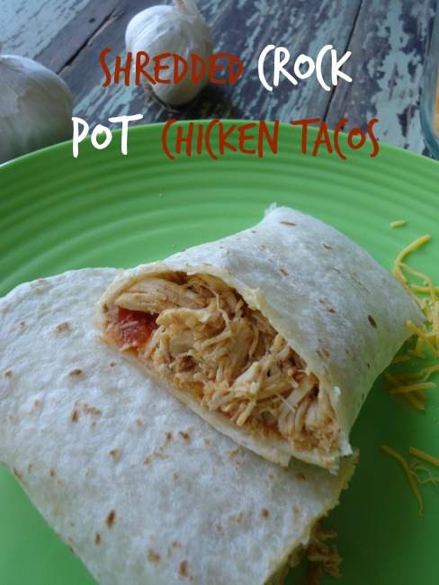 Shredded Crockpot Chicken Tacos easy supper with delicious flavors made in your crockpot