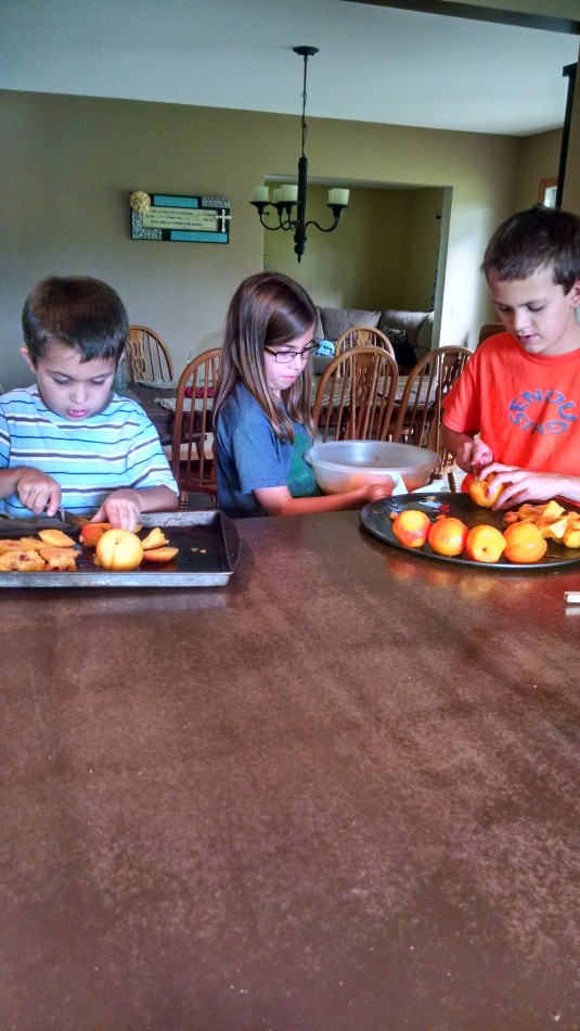 Fresh Fruit Peaches Kids Helping In Kitchen