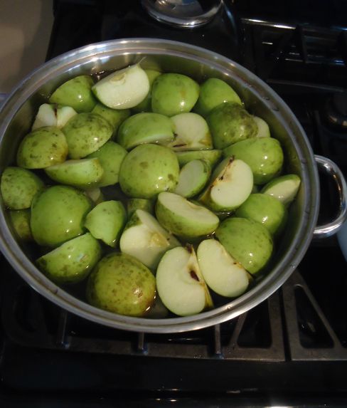 apples sitting in a pot of water, waiting to be boiled. 