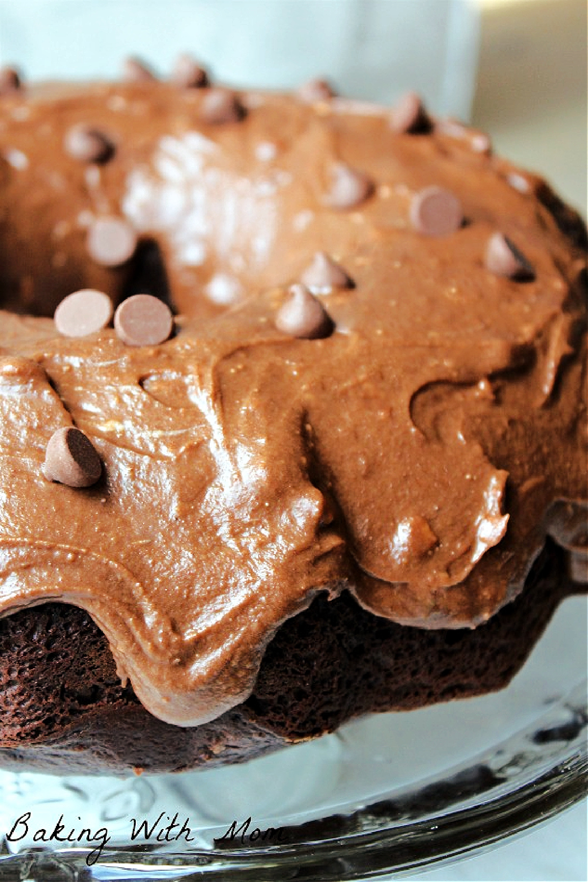 mocha chocolate cake with chocolate chips on top. 