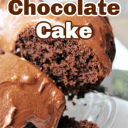 Mocha Chocolate Cake on a serving platter.