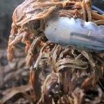 3 Ingredient Slow Cooker Roast Beef