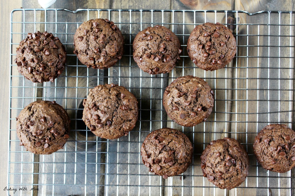 Chocolate chocolate chip muffins on a cooling rack with chocolate chips