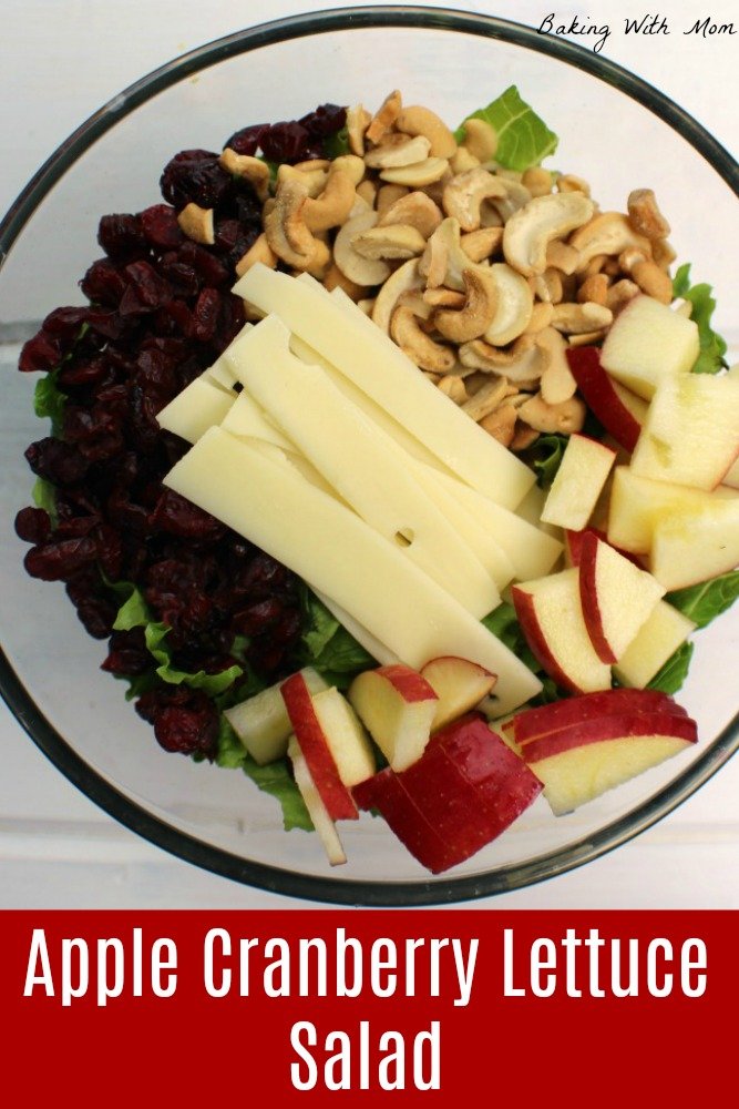 Apple Cranberry Lettuce Salad in a clear bowl with apples, lettuce and cheese