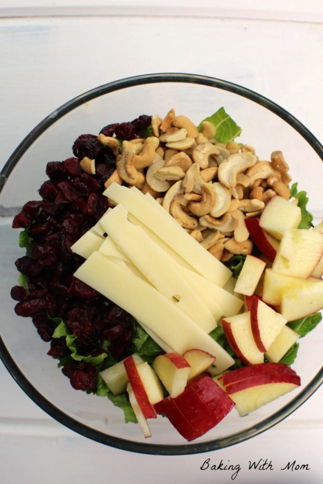 Apple Cranberry Lettuce Salad