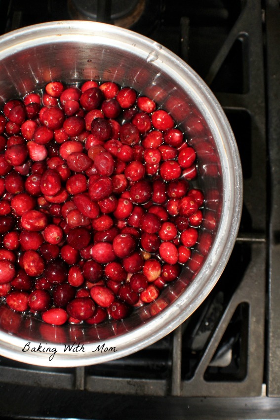 Cranberries in a pot of water