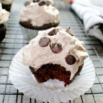 devil's food cupcake with chocolate chips
