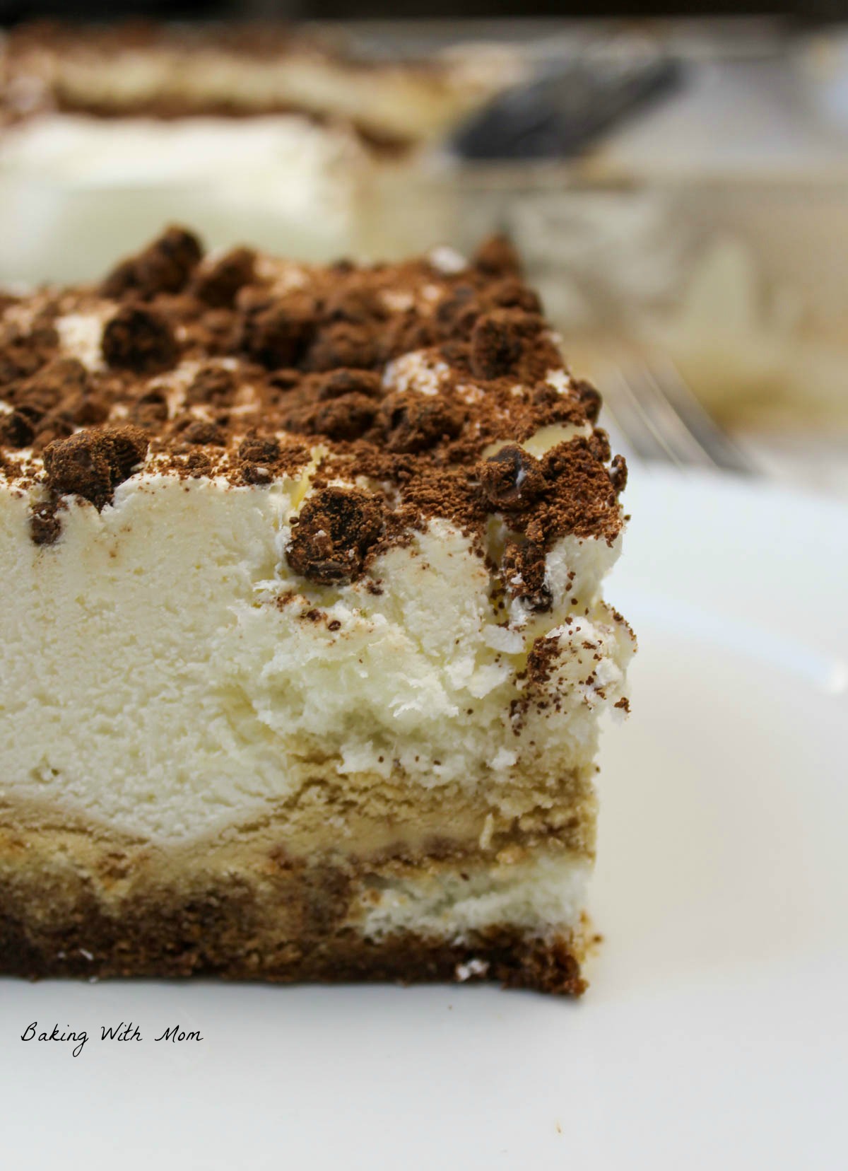 Slice of tiramisu ice cream cake on a white plate with sprinkles of chocolate chips