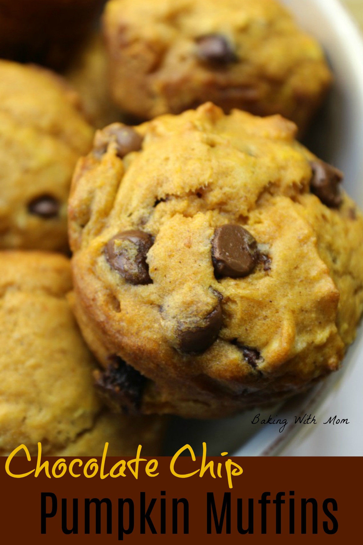 Chocolate chip pumpkin muffins in a white bowl