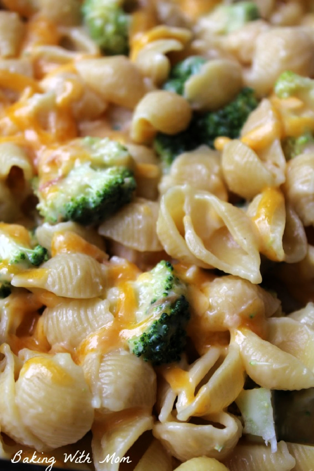 Close up of chicken, pasta and broccoli with cheese on top.