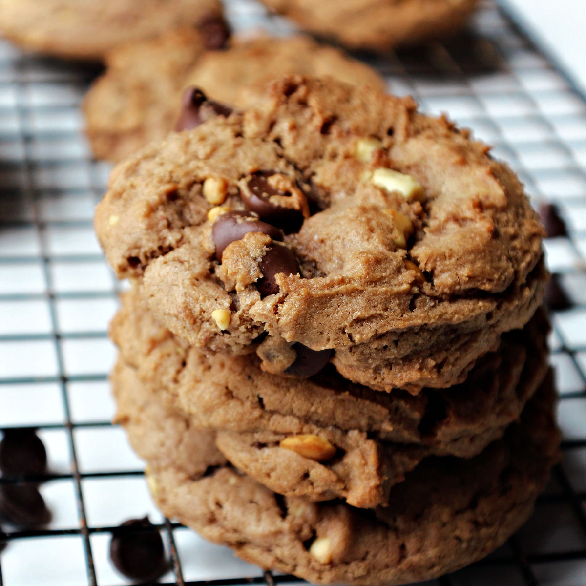 Chocolate peanut butter cookies in a stack