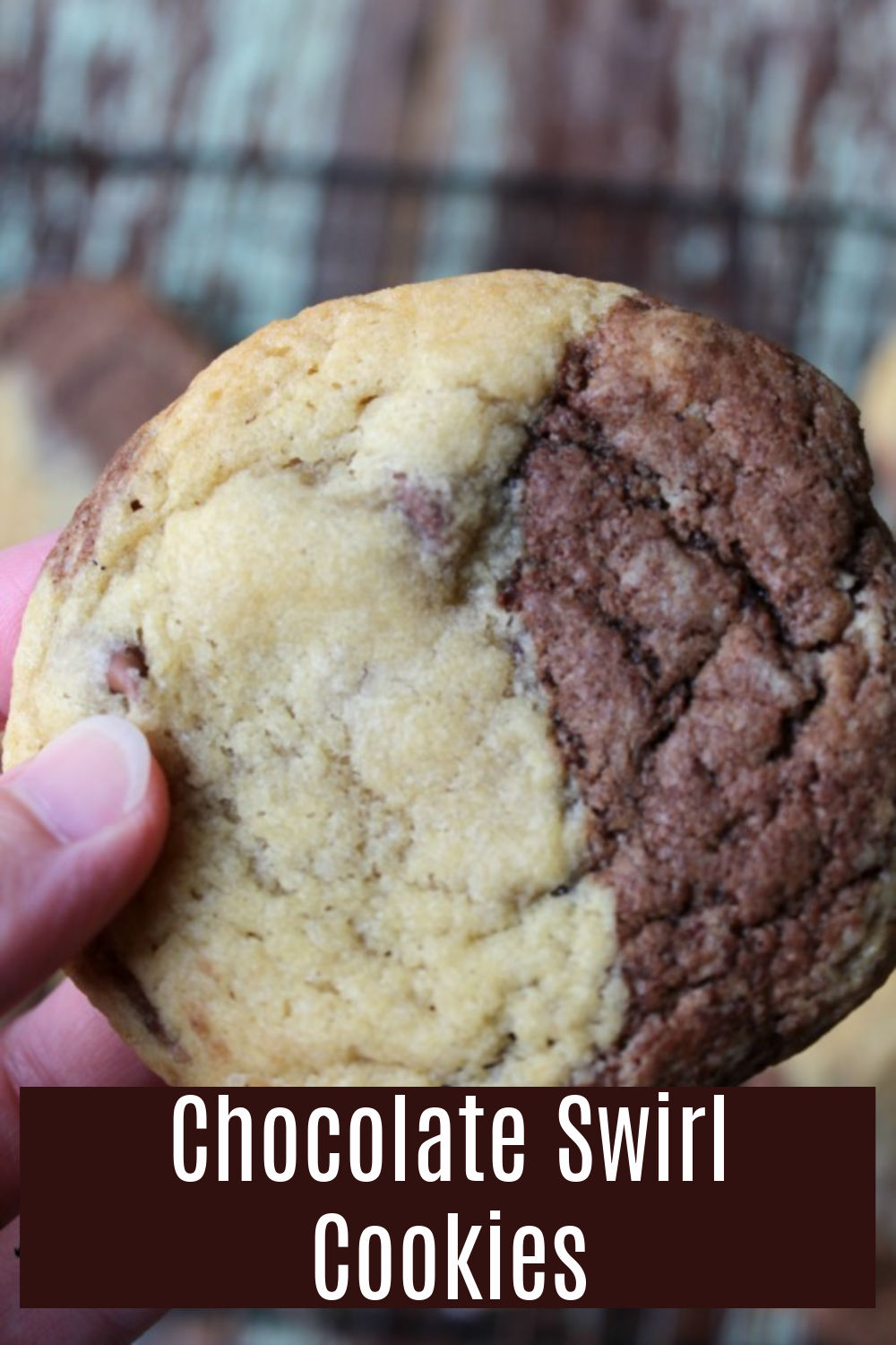 Chocolate swirl cookie with chocolate chips being held by a hand.