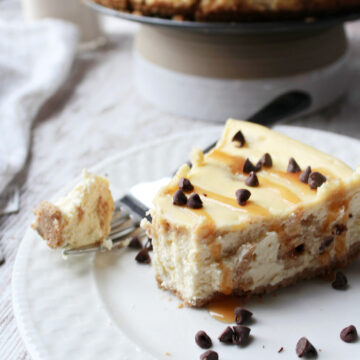 cheesecake on a white plate with mini chocolate chips sprinkled around.