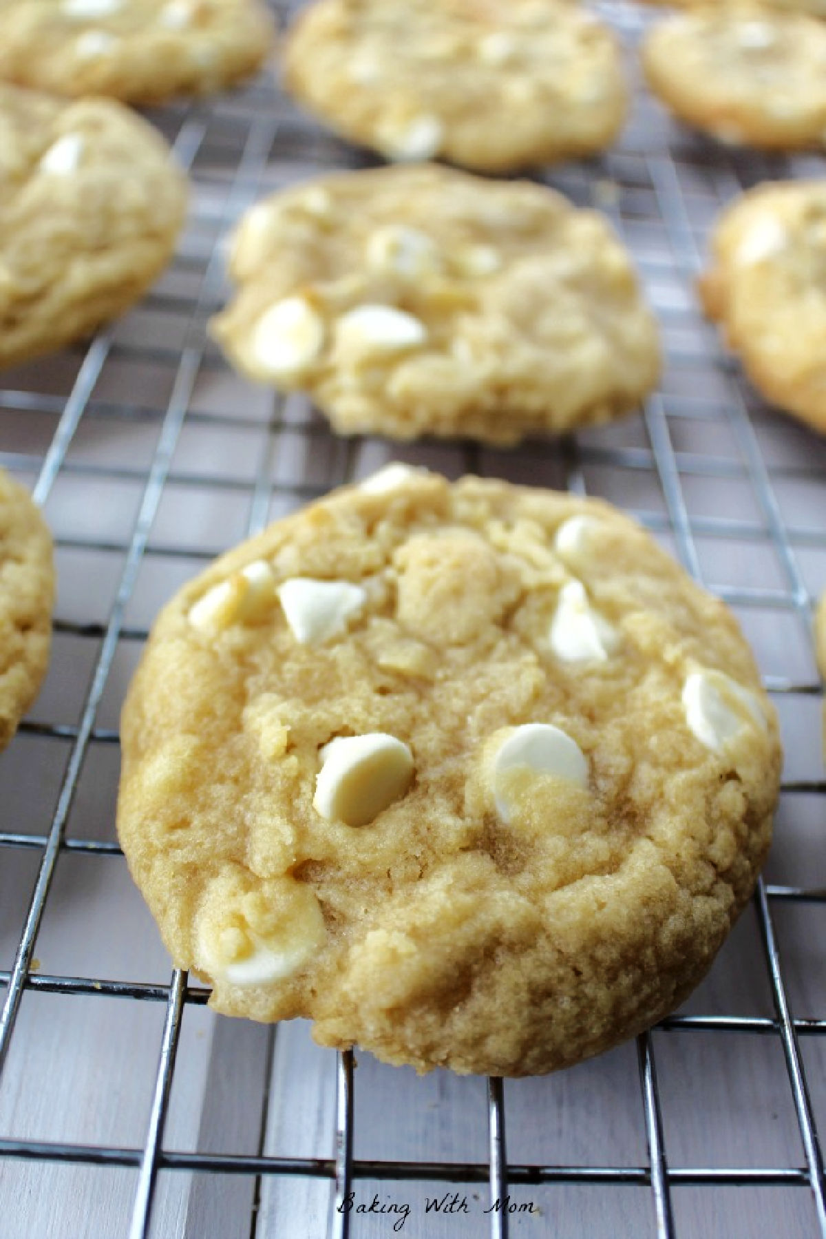 White chocolate chip cookies on a cooling rack. 