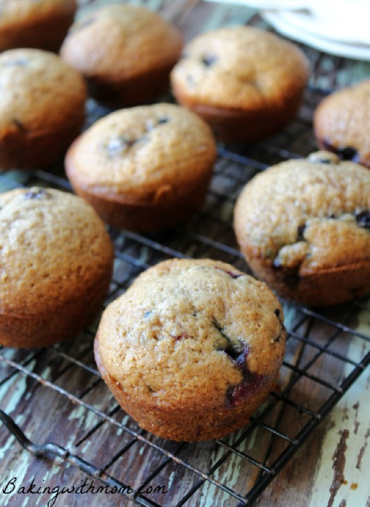 Blueberry muffins on a cooling rack. 
