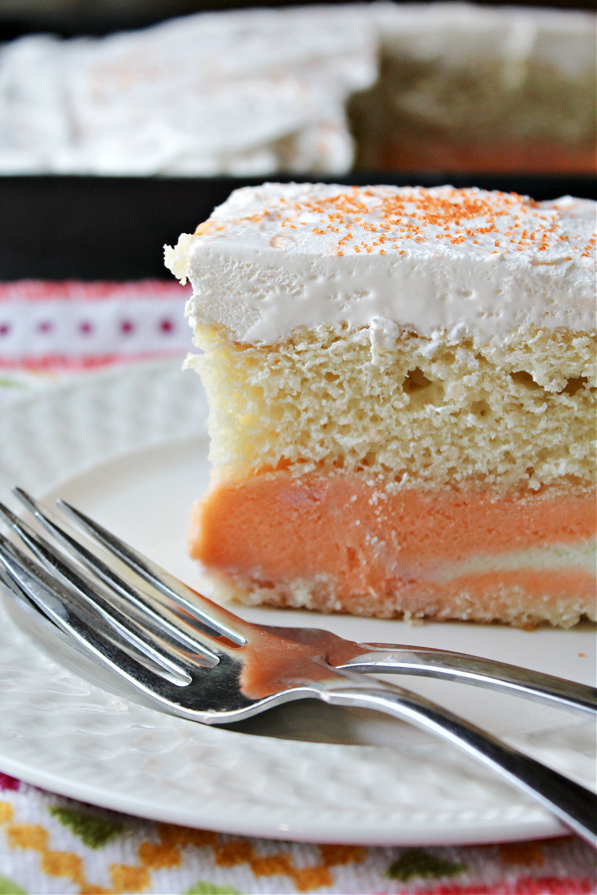 Rainbow sherbet cake on a white plate. 