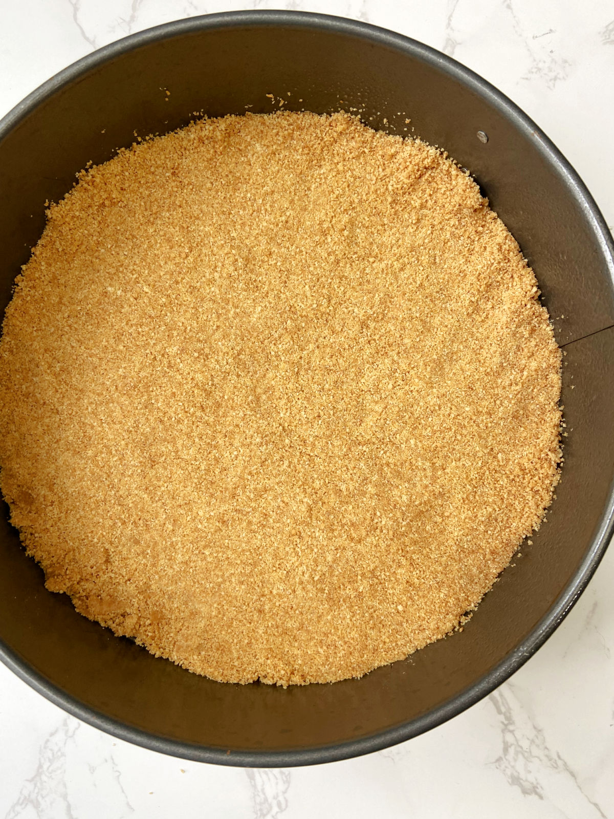 graham cracker crust in pan. 