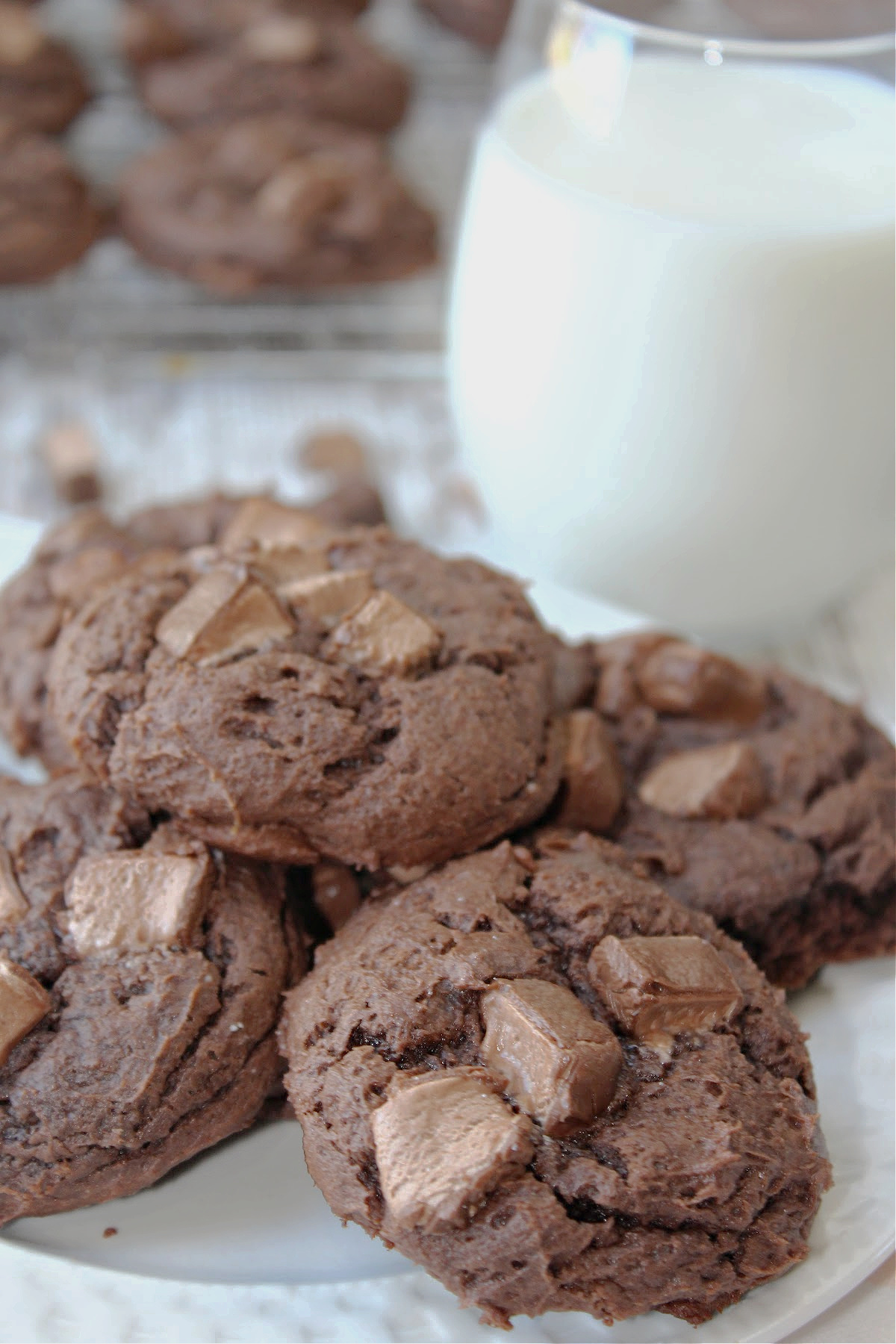 Gooey Chocolate Cookies ono a white plate with milk behind. 