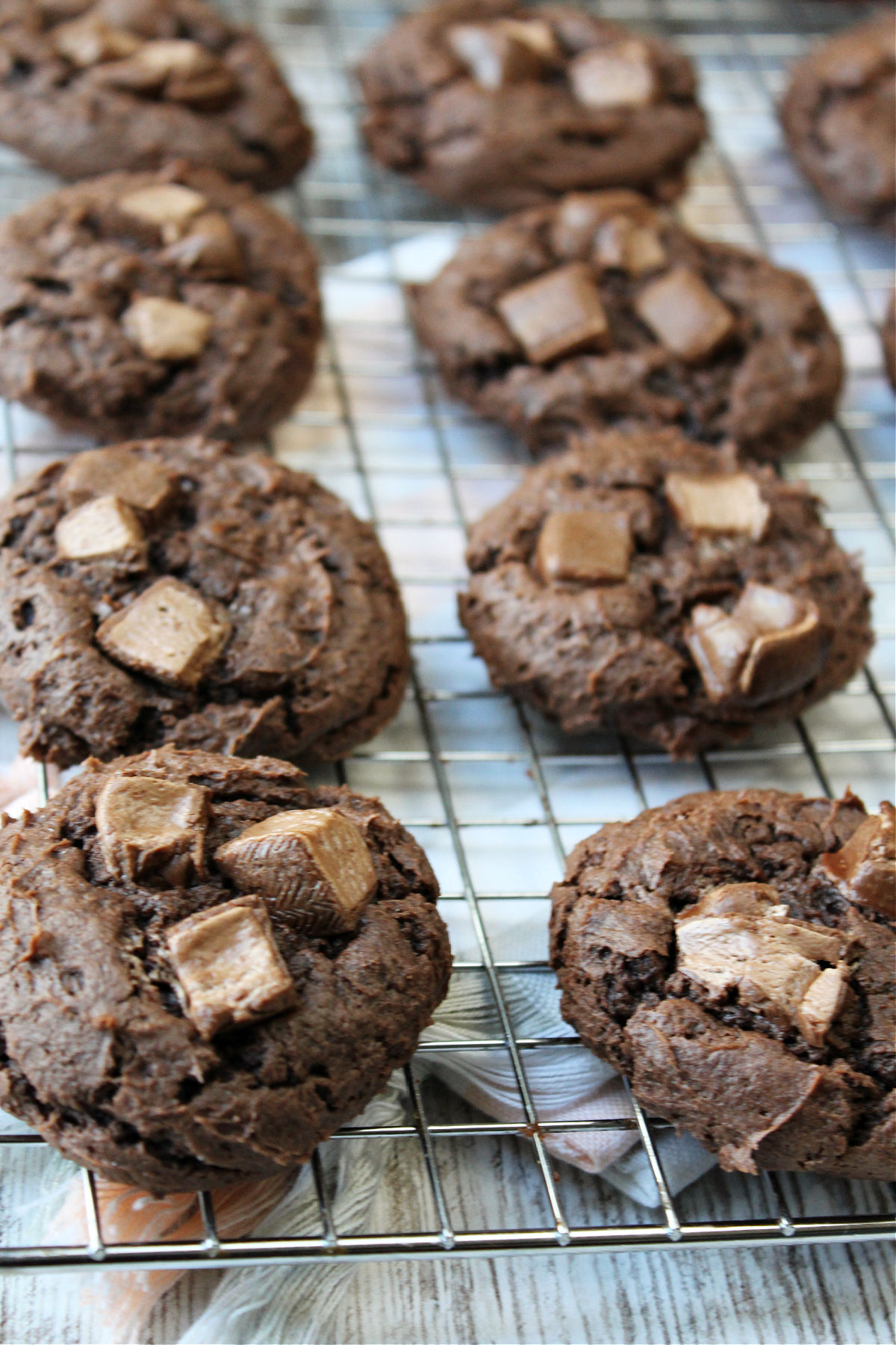 chocolate cookies on a cookie sheet. 