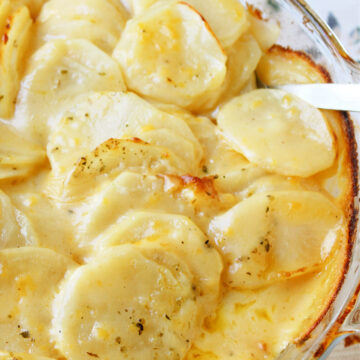 cheesy potatoes with a spoon.