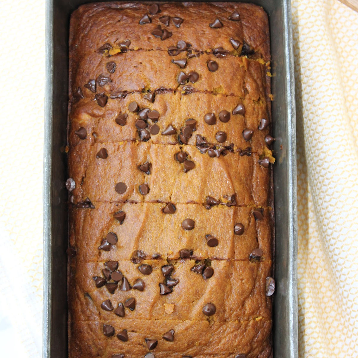Pumpkin bread with chocolate chips in a loaf pan.